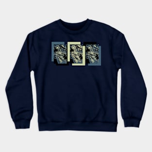 Blue Concrete Roses in a Cemetery Crewneck Sweatshirt